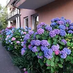 Eldorado Guest house