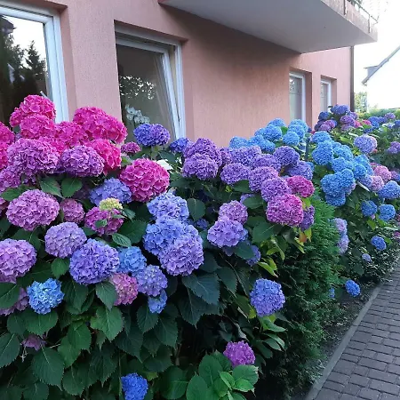 게스트하우스 Eldorado 레왈