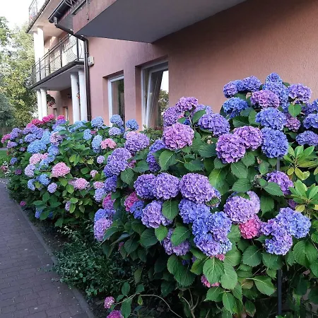 Eldorado 게스트하우스