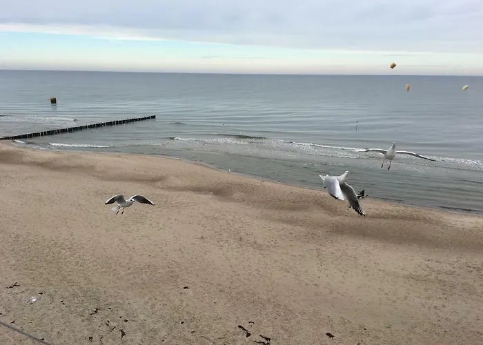 게스트하우스 Eldorado 레왈