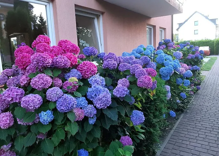 게스트하우스 Eldorado 레왈