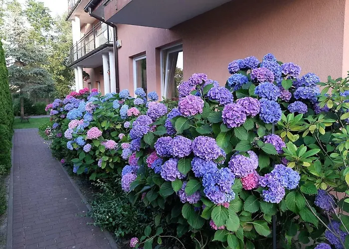 Eldorado 게스트하우스